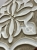IMG_6240.jpeg