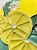 IMG_6415.jpeg